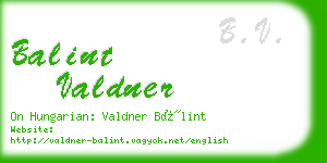 balint valdner business card